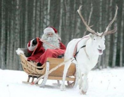 Скидка 60% на целый день в Уральской Резиденции Деда Мороза! Всегда можно окунуться в сказку!