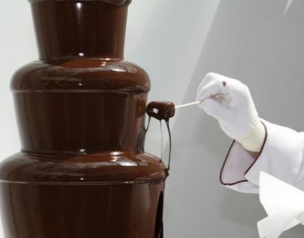 Сладкая жизнь! Шоколадный фонтан на Вашем празднике со скидкой 50%! Ваши гости будут в восторге!