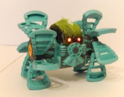Скидка 56% на радиоуправляемый робот мини Бакуган! НЕобычные игрушки для взрослых и детей!