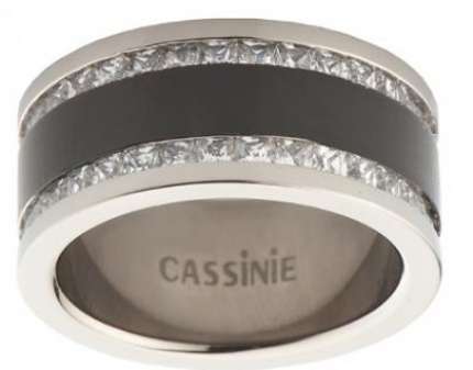 Скидка 51% на эксклюзивную бижутерию из титана от компании Cassinie! Элегантно!
