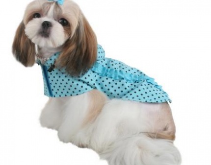 Собачья мода! Со скидкой 50% от интернет-магазина СТИЛЬНЫЙ ПЁС! Элитная одежда для собак!