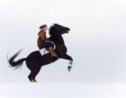 Скидка 50% на фотосессию с лошадьми от фотостудии Ангел! Незабываемое приключение и отличные снимки!